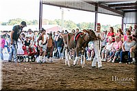 LCFAIR17-5111.jpg