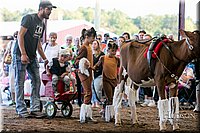 LCFAIR17-5115.jpg