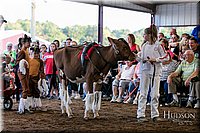 LCFAIR17-5117.jpg