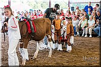 LCFAIR17-5124.jpg