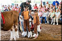 LCFAIR17-5126.jpg