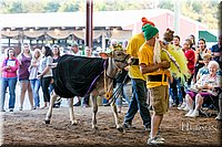 LCFAIR17-5153.jpg