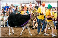 LCFAIR17-5157.jpg