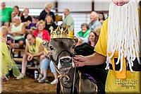 LCFAIR17-5169.jpg