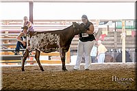 LCFAIR17-4395.jpg