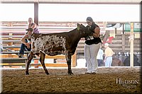 LCFAIR17-4396.jpg