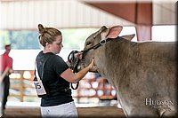 LCFAIR17-4407.jpg