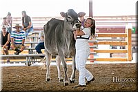 LCFAIR17-4408.jpg