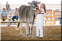 LCFAIR17-4410.jpg