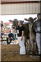 LCFAIR17-4415.jpg