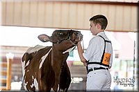 LCFAIR17-4435.jpg