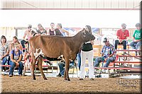 LCFAIR17-4441.jpg