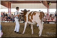 LCFAIR17-4443.jpg