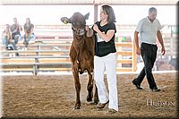 LCFAIR17-4444.jpg