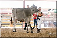 LCFAIR17-4447.jpg