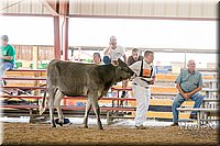 LCFAIR17-4453.jpg