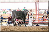 LCFAIR17-4455.jpg