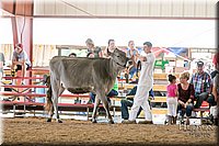 LCFAIR17-4457.jpg