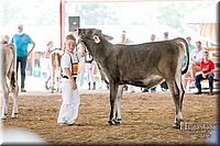 LCFAIR17-4460.jpg