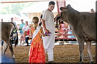 LCFAIR17-4462.jpg