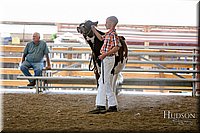 LCFAIR17-4469.jpg