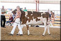 LCFAIR17-4471.jpg