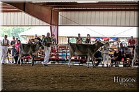 LCFAIR17-4478.jpg