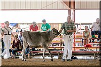 LCFAIR17-4483.jpg