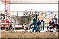 LCFAIR17-4487.jpg