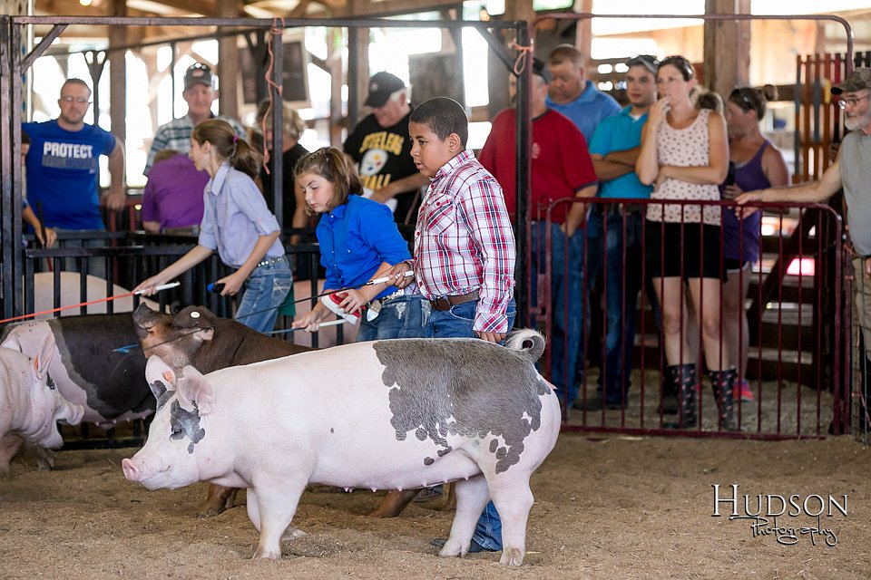 LCFAIR17-4655.jpg