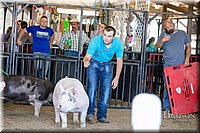 LCFAIR17-4605.jpg