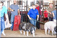 LCFAIR17-4607.jpg