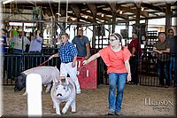 LCFAIR17-4611.jpg