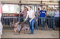 LCFAIR17-4612.jpg