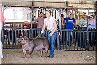 LCFAIR17-4613.jpg