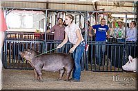 LCFAIR17-4614.jpg