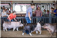 LCFAIR17-4615.jpg