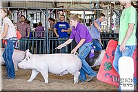 LCFAIR17-4617.jpg