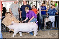 LCFAIR17-4622.jpg