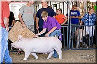 LCFAIR17-4623.jpg