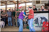 LCFAIR17-4624.jpg