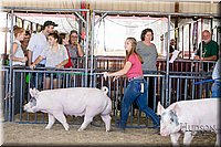 LCFAIR17-4631.jpg