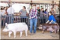 LCFAIR17-4632.jpg