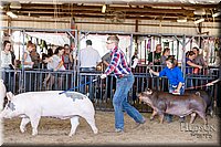 LCFAIR17-4633.jpg