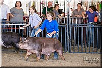 LCFAIR17-4634.jpg