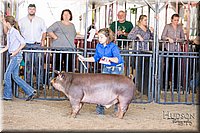 LCFAIR17-4635.jpg