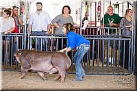 LCFAIR17-4636.jpg