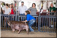 LCFAIR17-4637.jpg