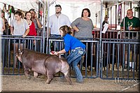 LCFAIR17-4638.jpg