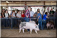 LCFAIR17-4641.jpg